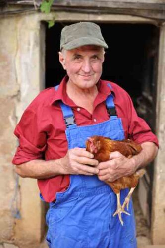 What's Holding Back Local Meat Processing?